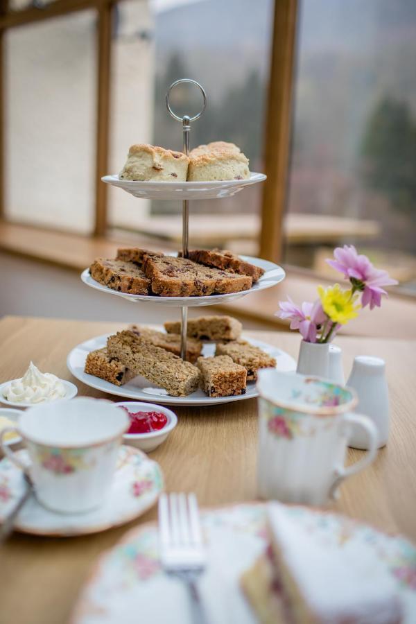 Penbont House Bed and Breakfast Rhayader Eksteriør billede