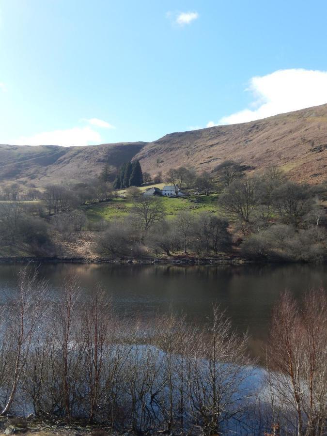 Penbont House Bed and Breakfast Rhayader Eksteriør billede